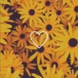 Meet your Posher, Mykala